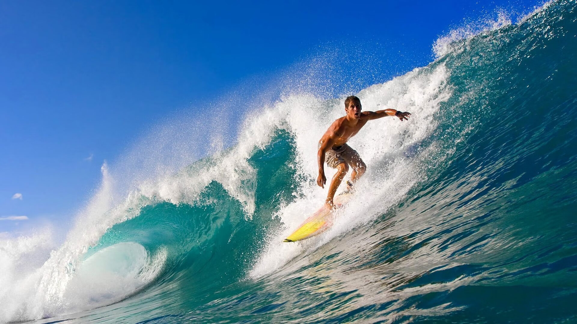 上海海港主场气氛火热,上海海港足球主场